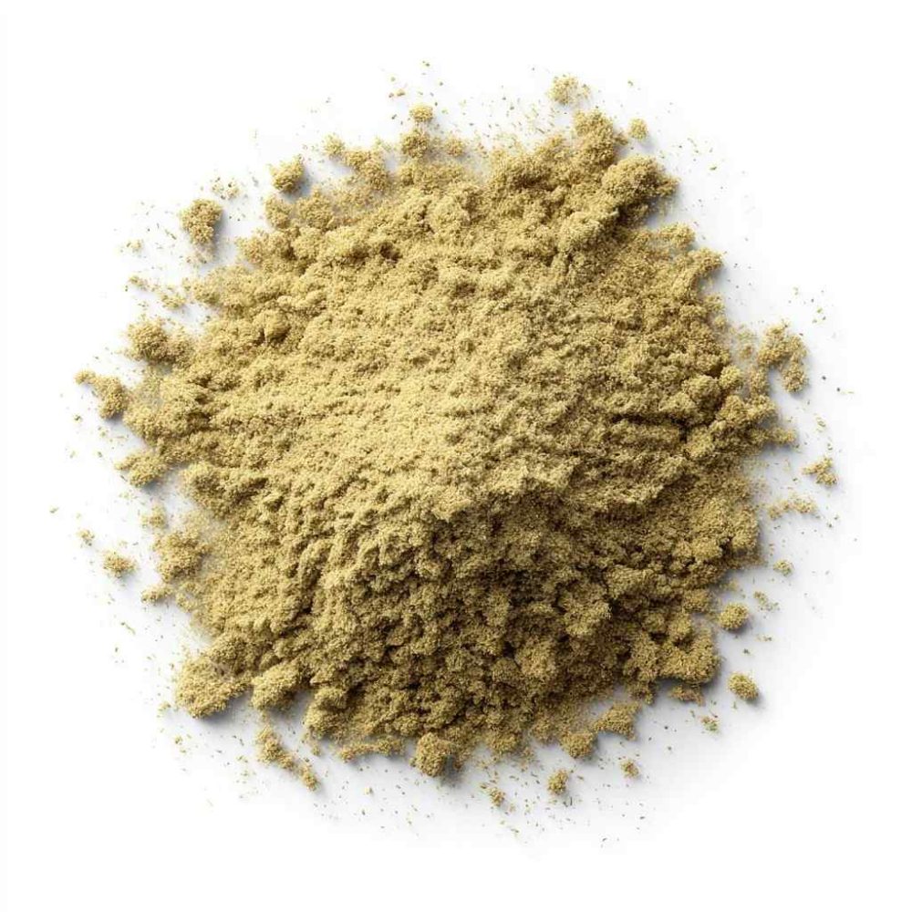 Komorač sjemenke u prahu